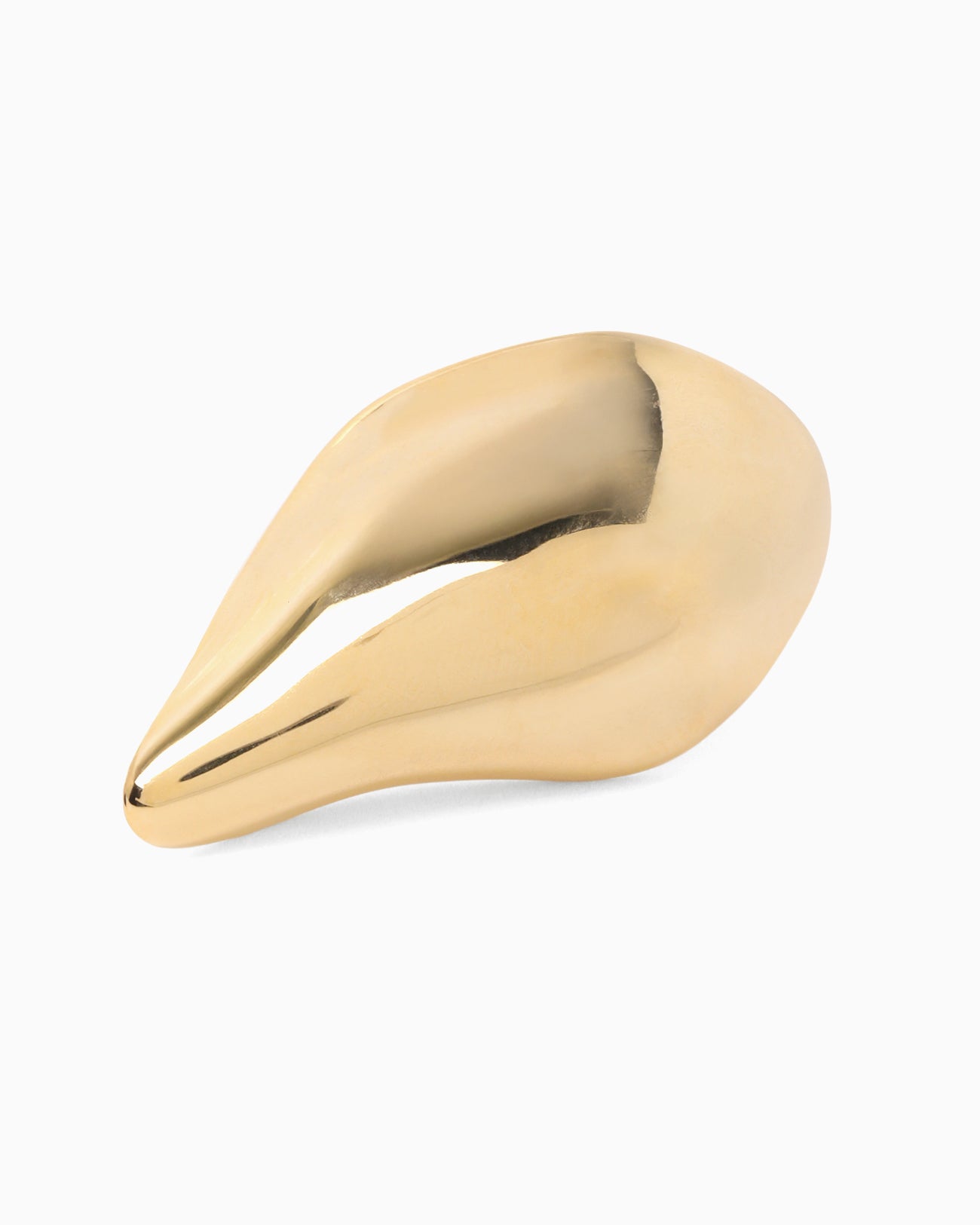 Organic motif Brass Earrings - gold