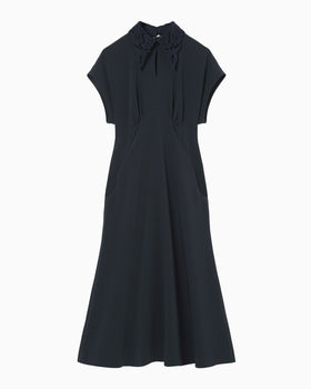 Triacetate Georgette Embroidered Collar Flared Dress - navy
