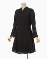 Raschel Lace Flare Dress - black